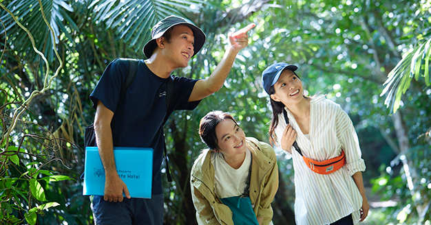 Nature tours to appreciate the charms and value of the island