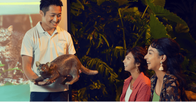 Iriomote wildcat conservation activities