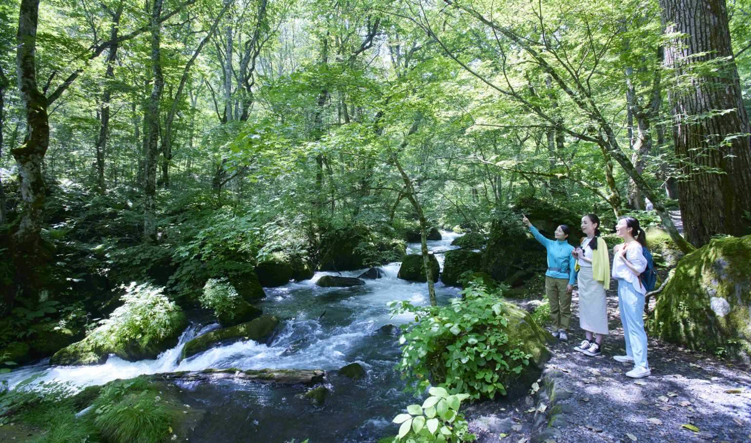 Strolling along the stream