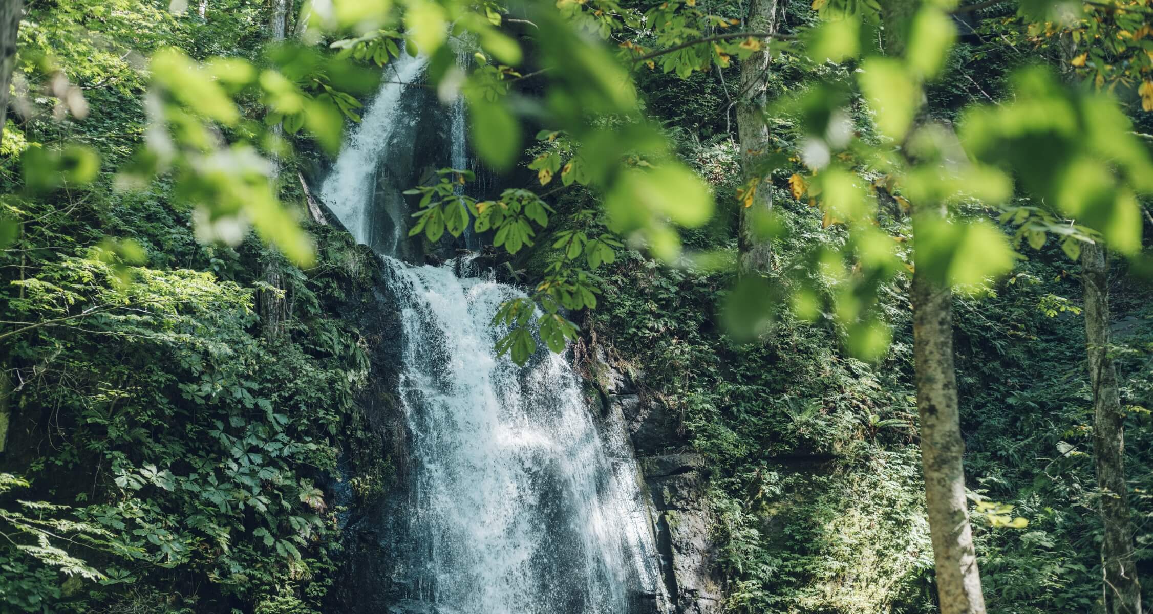 Towada-Hachimantai National Park