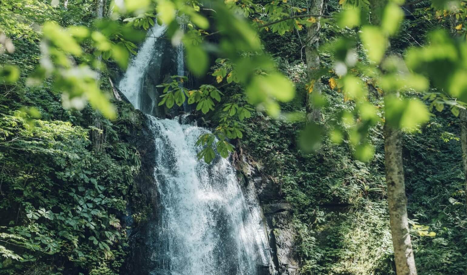 Oirase Gorge