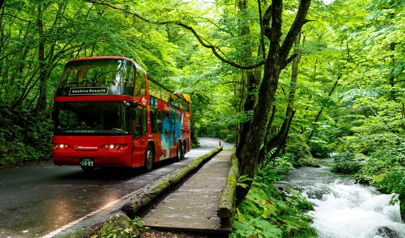 Oirase Open-Top Bus Tour