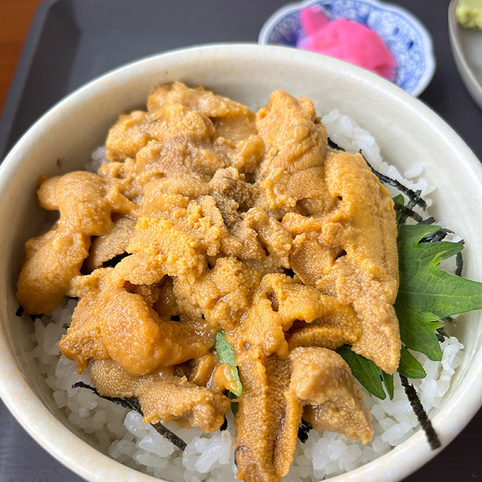正立食堂のウニ丼