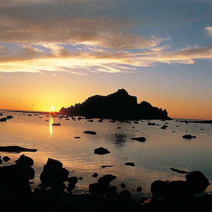 夕陽海岸