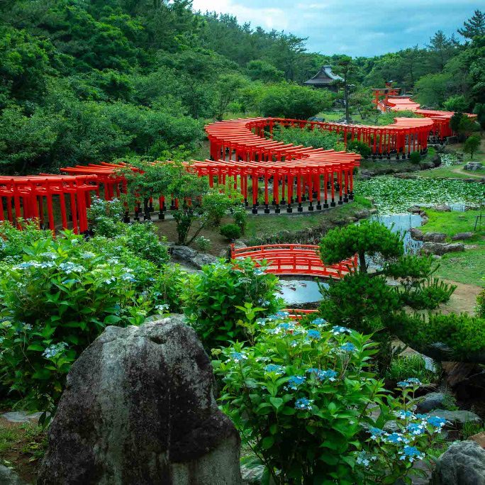 高山稲荷神社千本鳥居