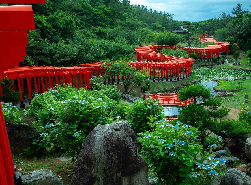 高山稲荷神社千本鳥居