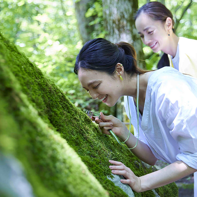 苔さんぽ