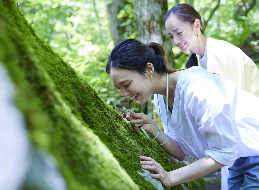 苔さんぽ