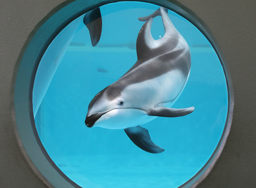 青森県営浅虫水族館