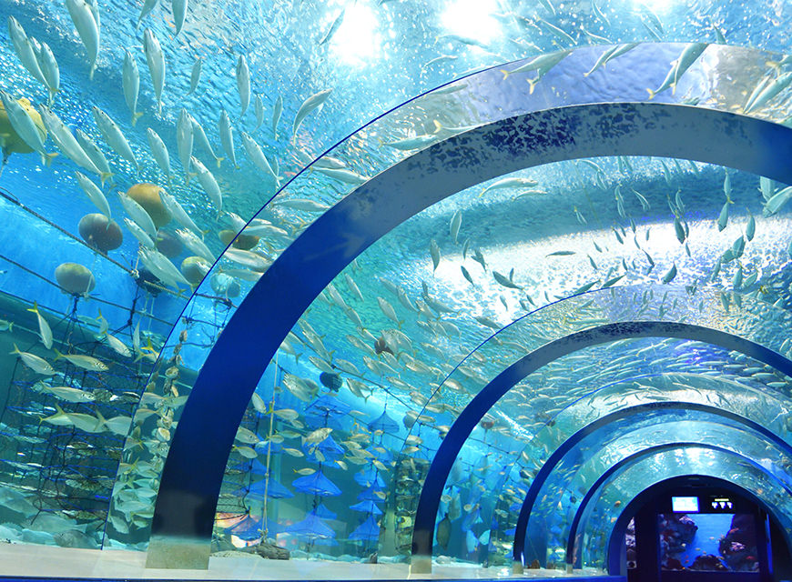青森県営浅虫水族館