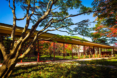 日日光推薦的7個你旅行中想去的午餐 [從知名餐廳到鮮為人知的美食家]
