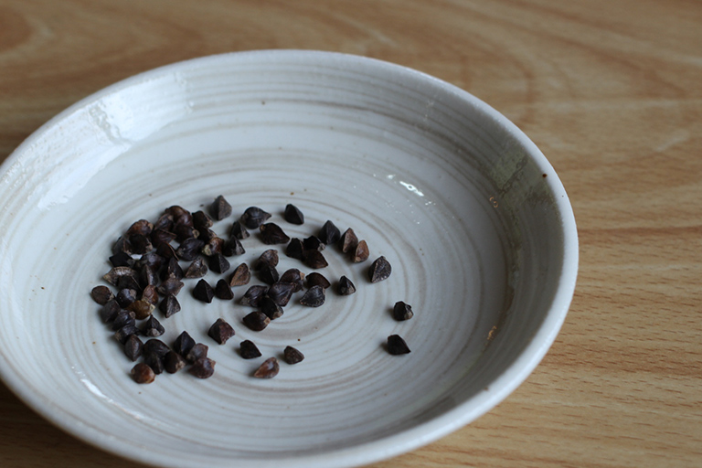·棕色蕎麥麵（蕎麥籽）