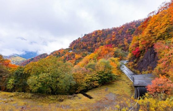 [2025年版] 有哪些重點景點、建議時間，以及「伊羅哈坂」的觀光（開車/秋葉）的交通方式方式？