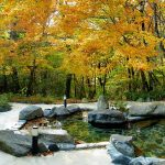 日日光周邊推薦的一日遊溫泉，觀光時可造訪