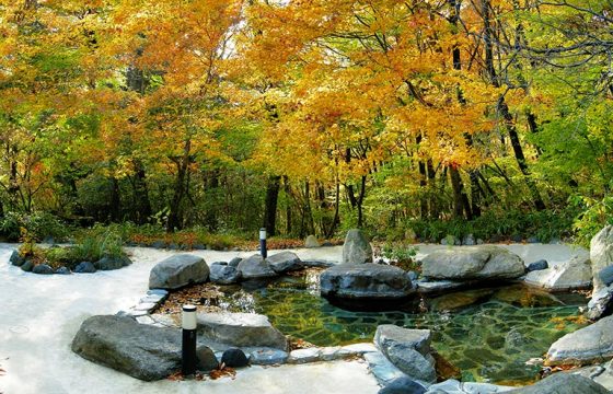 日日光周邊推薦的一日遊溫泉,觀光時可造訪