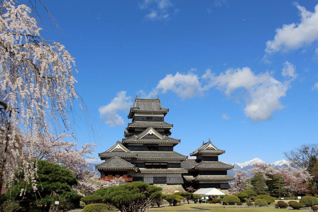 松本城の桜 紅葉 雪 四季の見どころ みちくさガイド