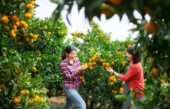 [2026年版] 熱熱海冬季4個推薦觀光景點