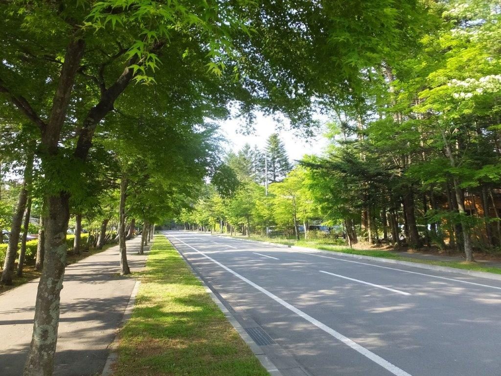 軽井沢へのアクセス 東京 名古屋方面から 電車 車 バスでのアクセス方法 みちくさガイド