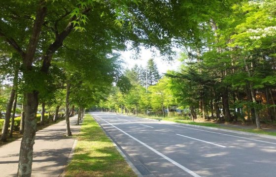 [輕輕井澤交通方式]如何從東京和名古屋搭乘火車、開車或巴士交通方式