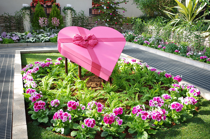 情人節季節裝飾有心形圖案的「大溫室水晶宮」 *照片為2018年1月