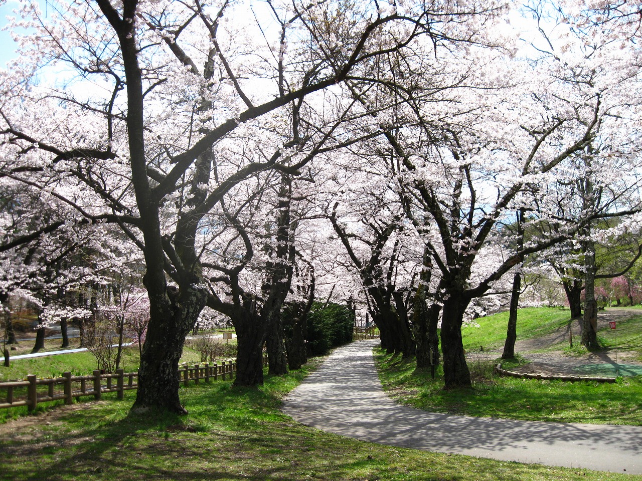 夢幻過山車橫圓寺