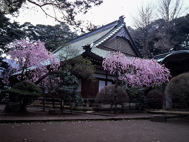 照片由箱根市立志向規劃與觀光部旅遊科提供