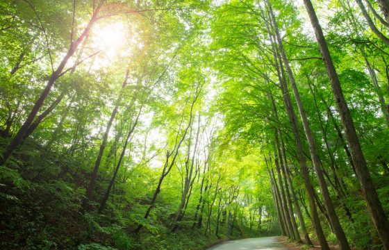 來看看輕井澤四季、溫度和服裝