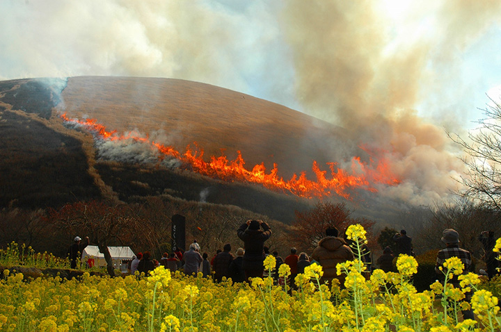 （照片由伊東觀光協會提供）