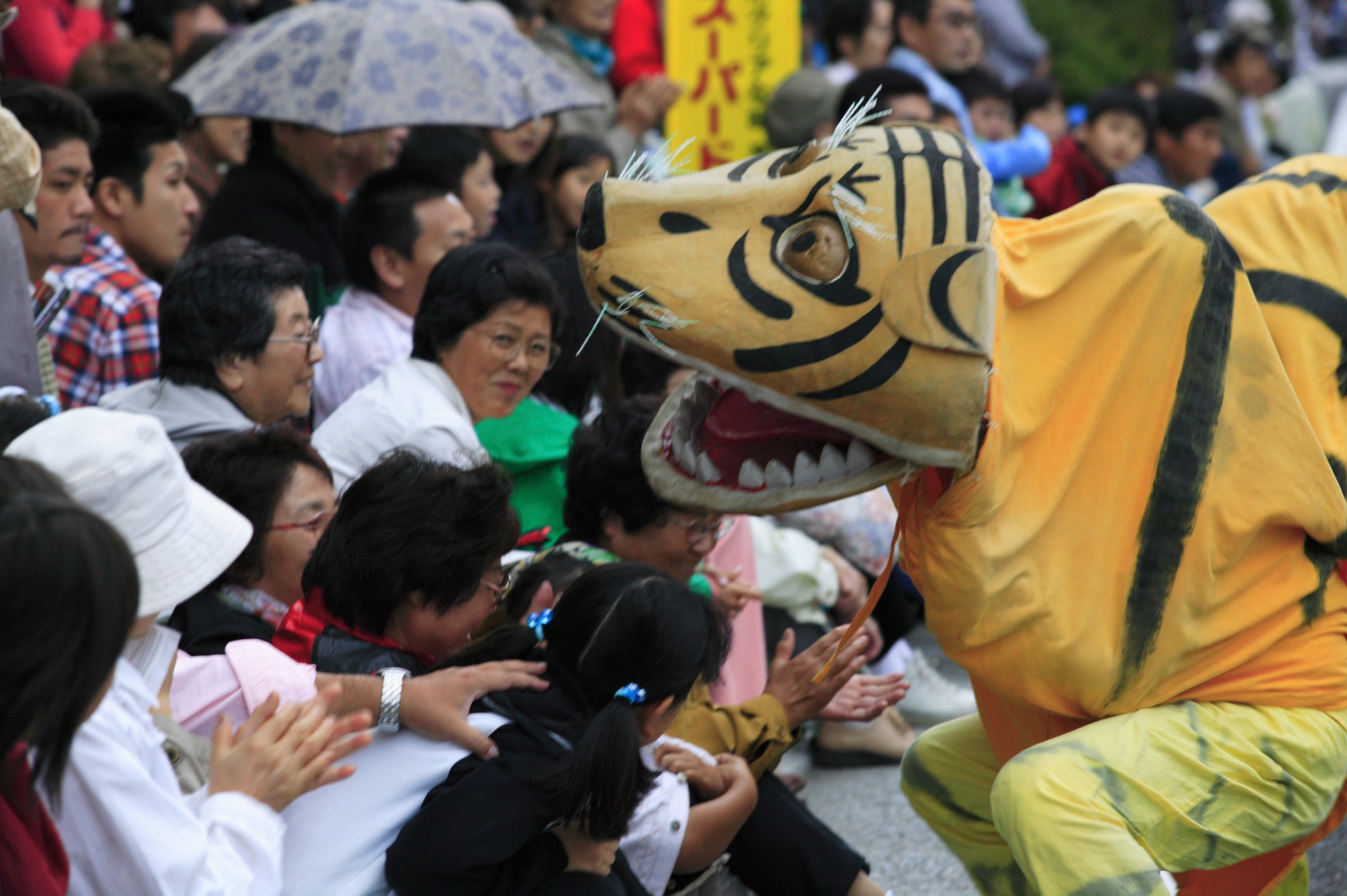 虎舞。 據說，被咬頭有身體健康、身體健康的好處。