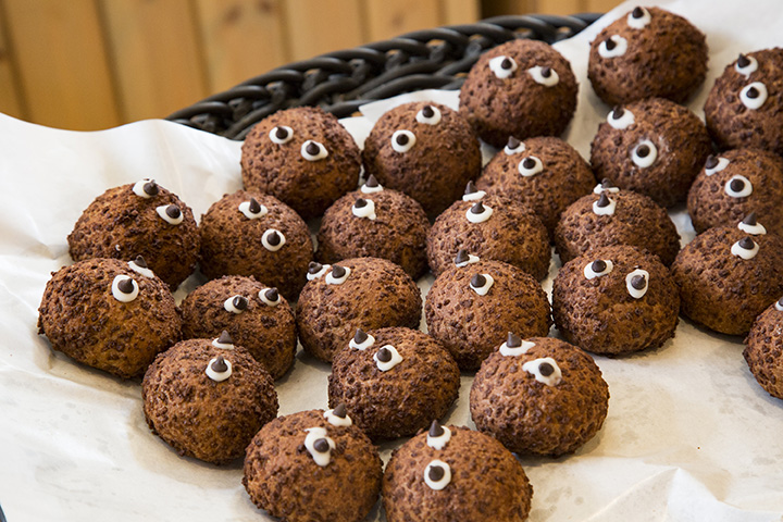 可可麵團撒上巧克力脆片「Makuro Chocosuke」1個JPY100