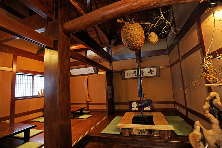 店內擺放著大型蜂箱和動物角。