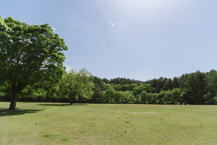 寬敞的草坪公園是各個年齡段男女喜愛的休閒場所。