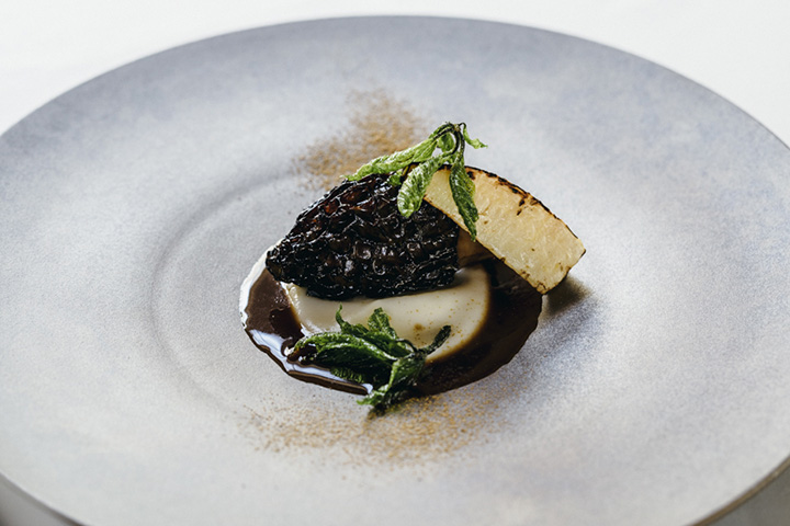 “蘑菇盤”的例子