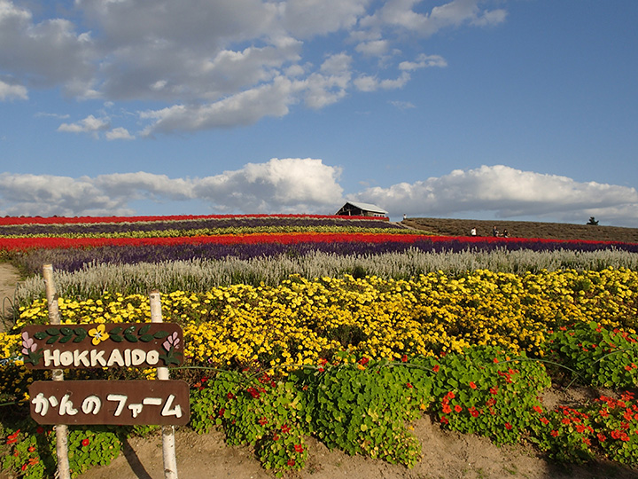 秋天的花園也是一道值得一看的景點。