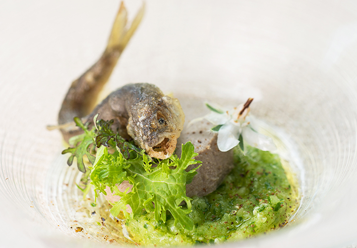 天龍川、年輕的香魚油條望月、老厚黃瓜和埃斯特拉貢。 晚餐套餐開胃菜的例子