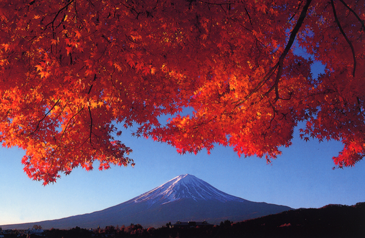 年版 富士山と紅葉の絶景を楽しむ秋の河口湖 おすすめ8選 みちくさガイド