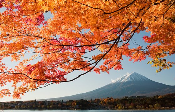 看看箱根的溫度和服裝