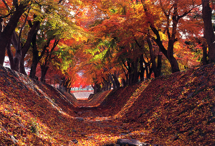 【2023年版】富士山と紅葉の絶景を楽しむ秋の河口湖 おすすめ8選 - みちくさガイド