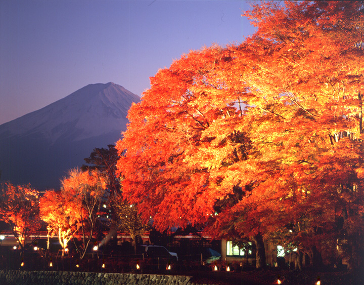 年版 富士山と紅葉の絶景を楽しむ秋の河口湖 おすすめ8選 みちくさガイド