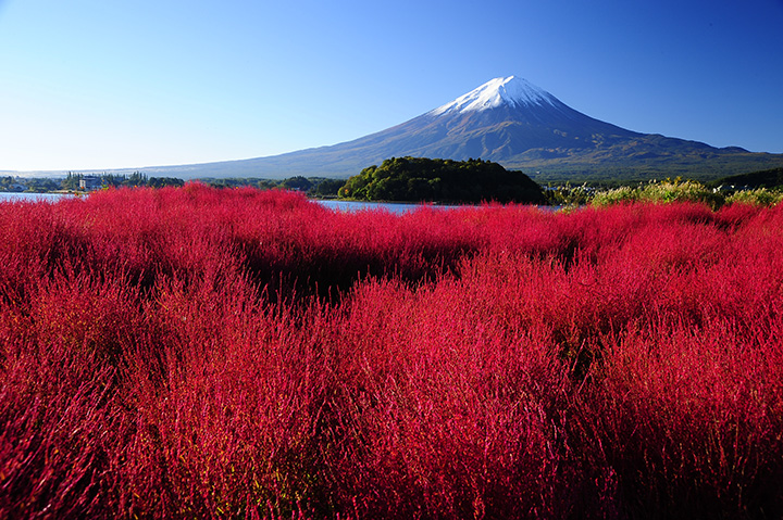 年版 富士山と紅葉の絶景を楽しむ秋の河口湖 おすすめ8選 みちくさガイド