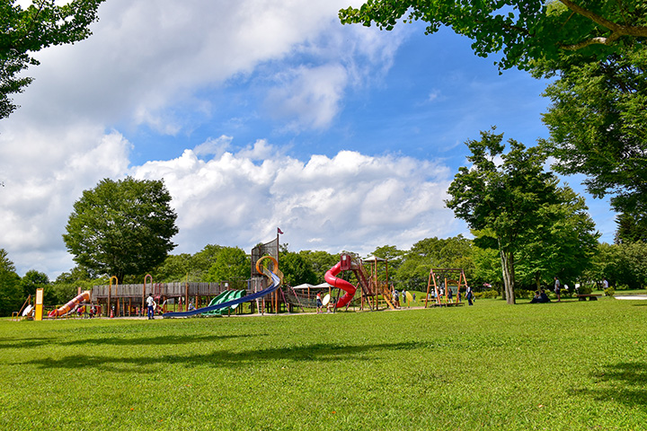 大型遊樂設施，包括3~6歲幼兒區、6~12歲兒童區、通用區和健身區