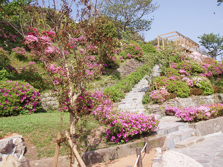 从平户港到以平户杜鹃花的著名景点而闻名的崎方公园，您可以看到城市景观