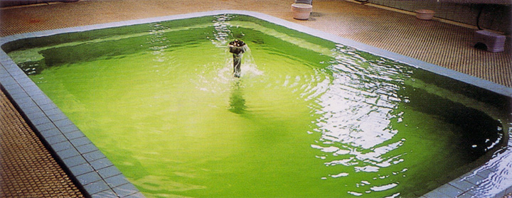 翡翠水經常在晚上被發現