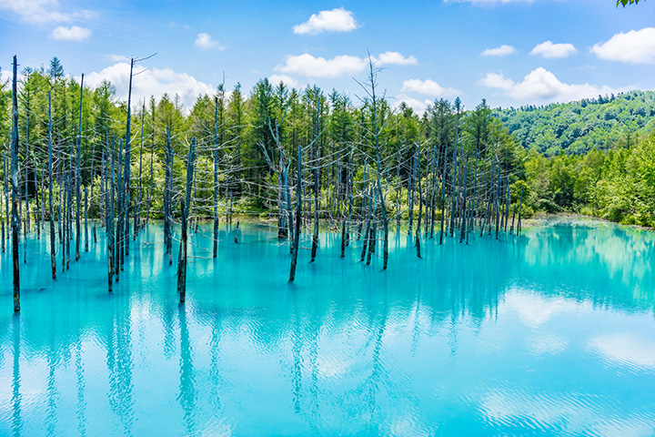 反射陽光並發出藍色光芒