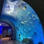 A Guide to Sightseeing in Hamamatsu with Kids! From Classic Playgrounds to Experiences and Delicious Lunch Spots
