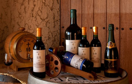 富良野、十勝、千歲的6個推薦觀光景點，即使下雨天也能享受