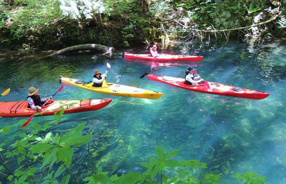你可以享受觀光！ 十和田、入瀨、八戶獨有的體驗