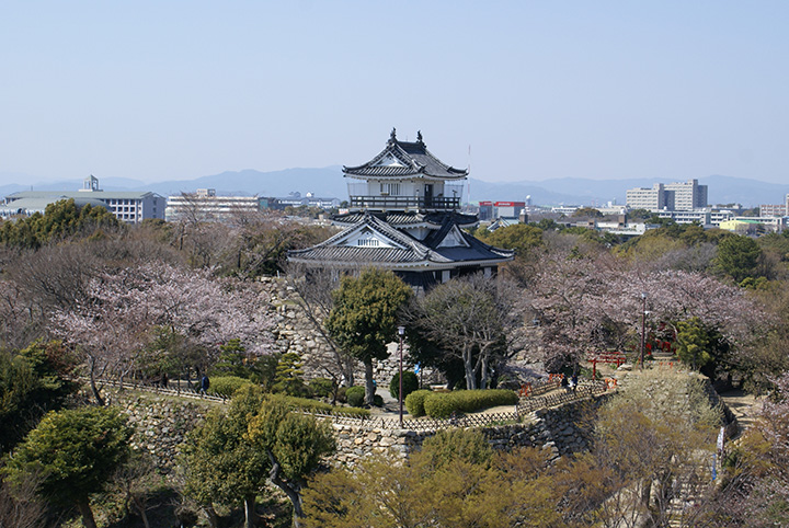 提供）滨松观光局