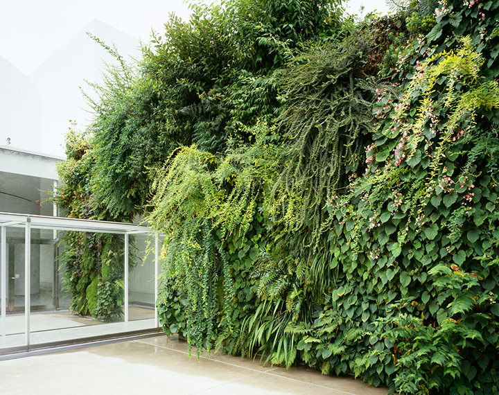 帕特里克·布蘭克，《綠橋》，2004 攝影：Jun Nakamichi/Nakasa & Partners，由金澤 21 世紀美術館提供