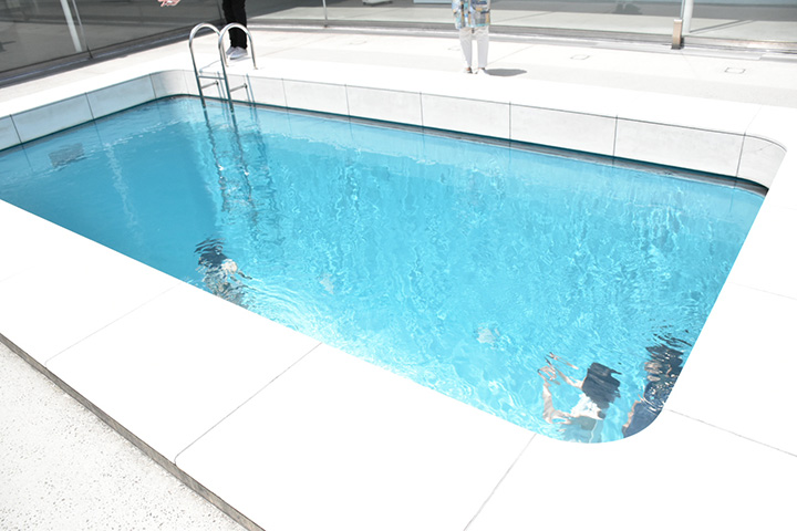 萊安德羅·埃利希《游泳池》 2004